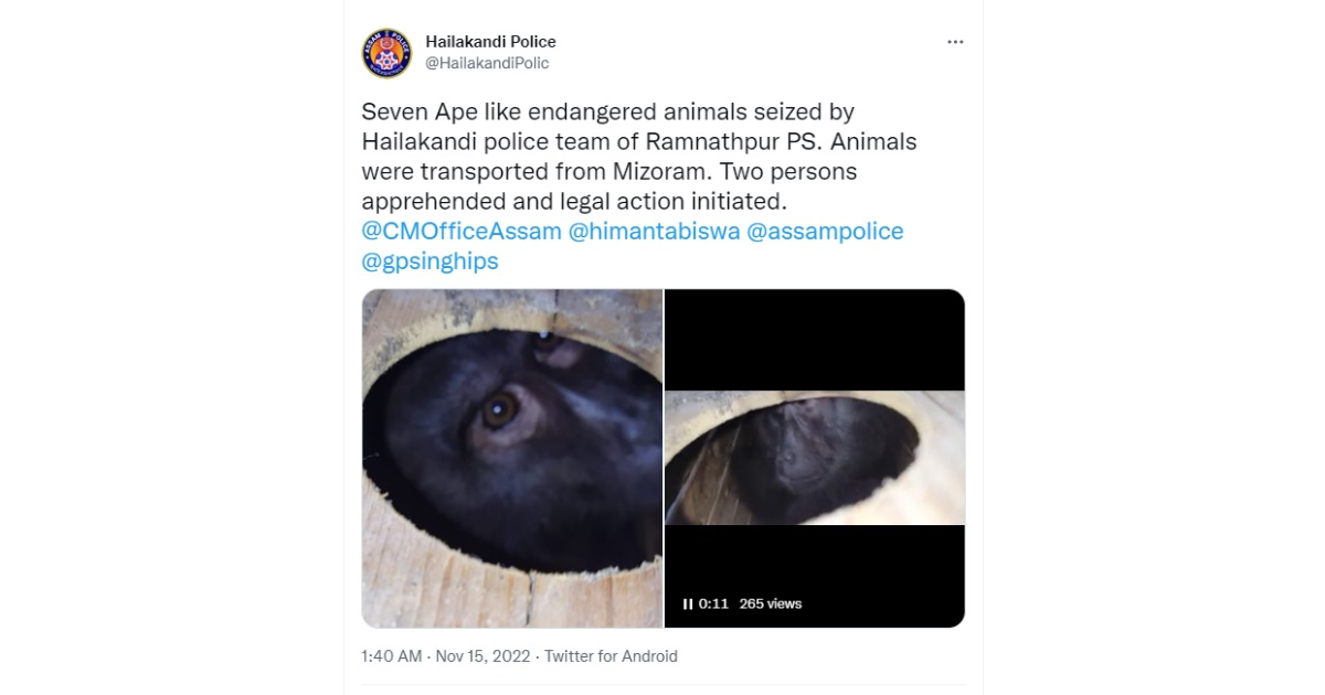 Assam police apprehend two persons for transporting 7 ape-like endangered animals from Mizoram